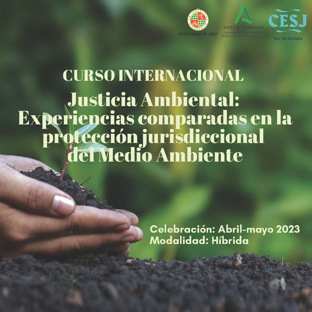 Justicia Ambiental: Experiencias comparadas en la protección jurisdiccional del medio ambiente.